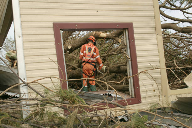 Best Tree and Shrub Care  in Coshocton, OH