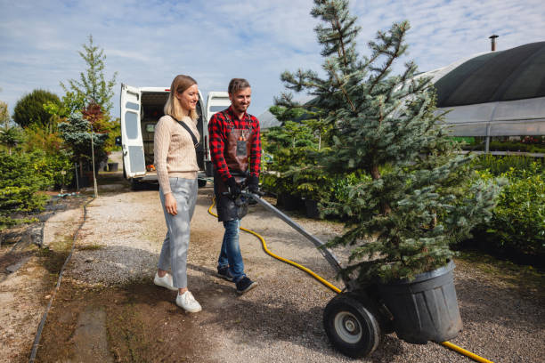  Coshocton, OH Tree Removal Pros